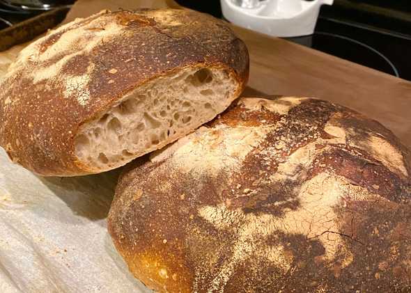 The first sourdough bread I baked